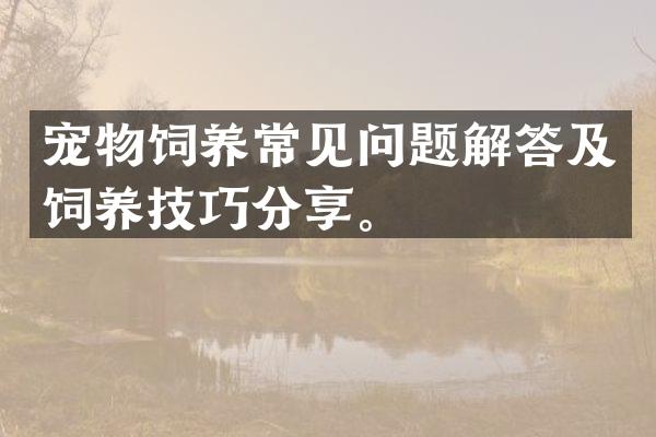 宠物饲养常见问题解答及饲养技巧分享。