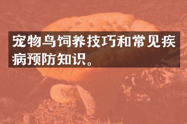 宠物鸟饲养技巧和常见疾病预防知识。