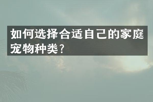 如何选择合适自己的家庭宠物种类？