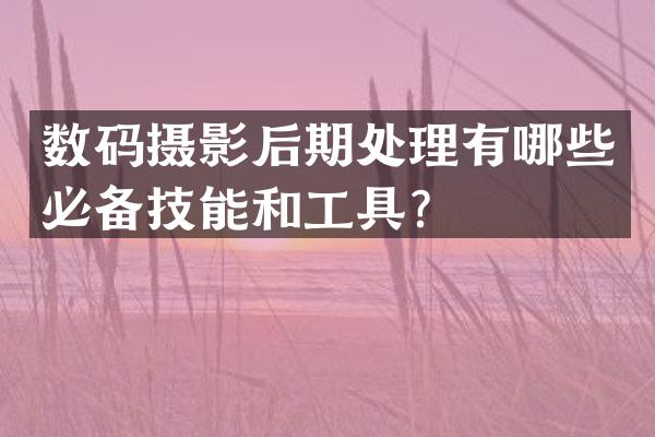 数码摄影后期处理有哪些必备技能和工具？