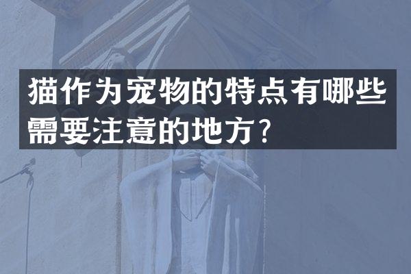 猫作为宠物的特点有哪些需要注意的地方？
