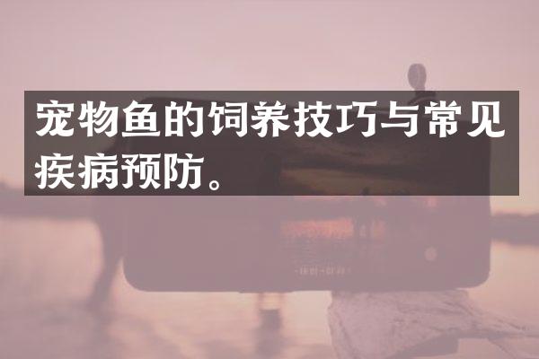 宠物鱼的饲养技巧与常见疾病预防。