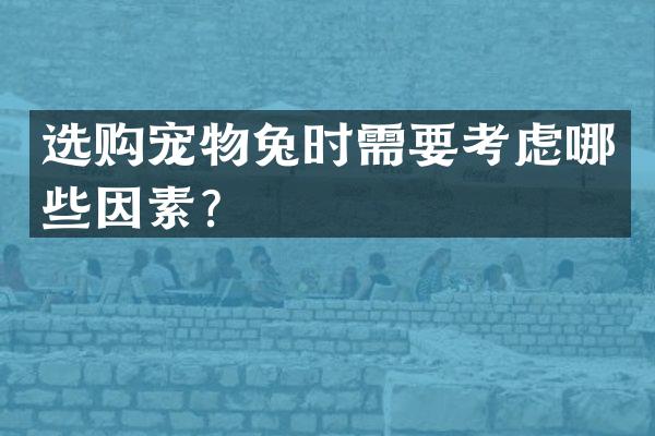 选购宠物兔时需要考虑哪些因素？