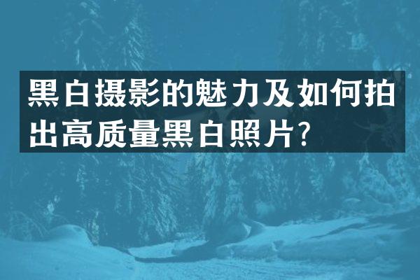 黑白摄影的魅力及如何拍出高质量黑白照片？