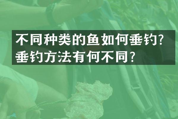不同种类的鱼如何垂钓？垂钓方法有何不同？