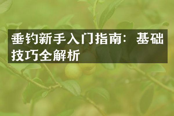 垂钓新手入门指南：基础技巧全解析