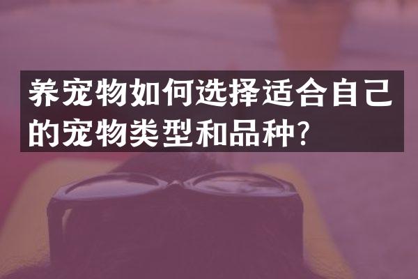 养宠物如何选择适合自己的宠物类型和品种？