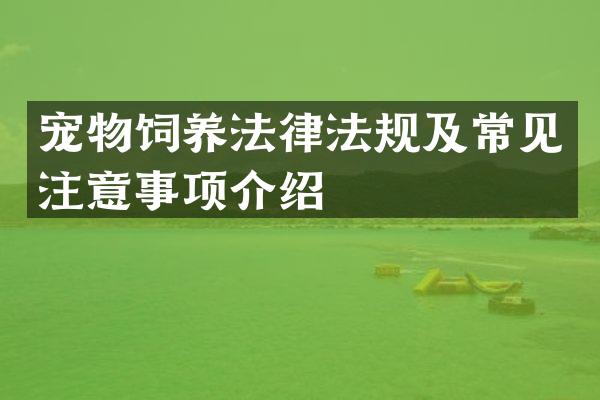 宠物饲养法律法规及常见注意事项介绍