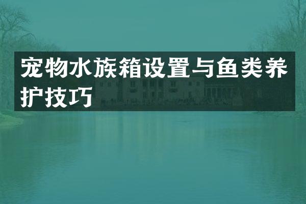 宠物水族箱设置与鱼类养护技巧