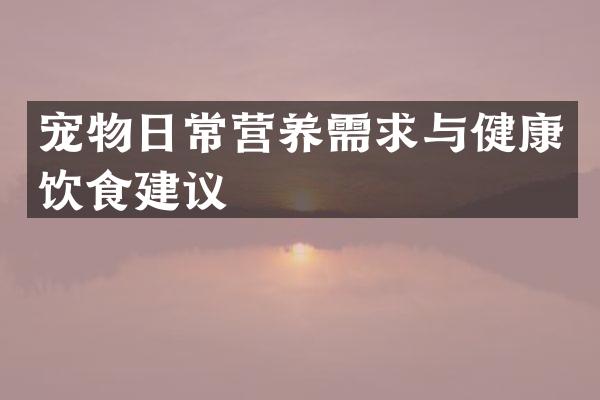 宠物日常营养需求与健康饮食建议