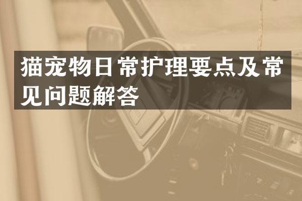猫宠物日常护理要点及常见问题解答