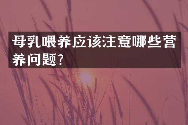 母乳喂养应该注意哪些营养问题？