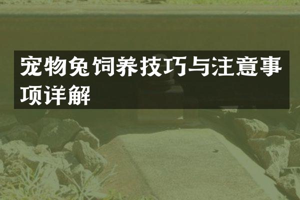 宠物兔饲养技巧与注意事项详解