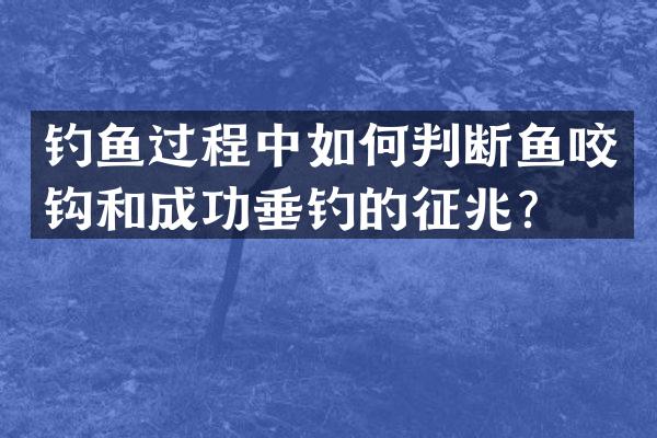钓鱼过程中如何判断鱼咬钩和成功垂钓的征兆？