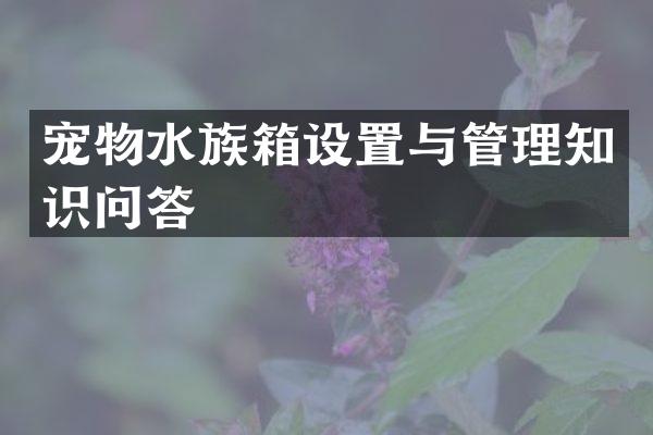 宠物水族箱设置与管理知识问答