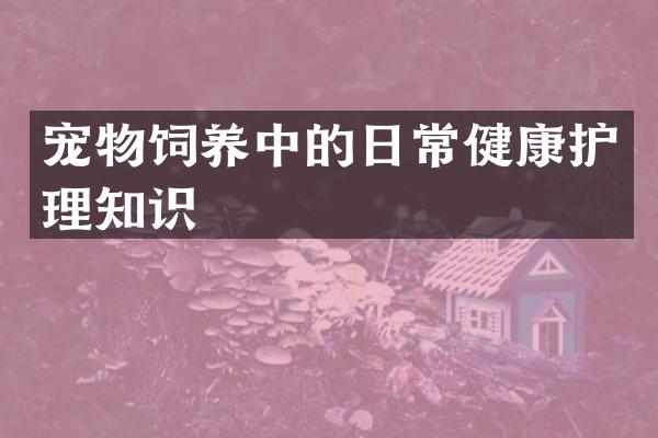 宠物饲养中的日常健康护理知识