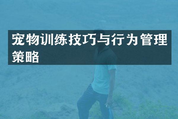 宠物训练技巧与行为管理策略