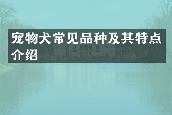 宠物犬常见品种及其特点介绍
