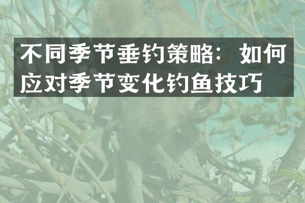 不同季节垂钓策略：如何应对季节变化钓鱼技巧？