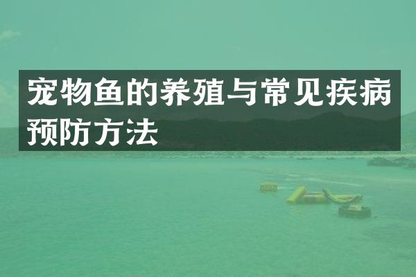 宠物鱼的养殖与常见疾病预防方法