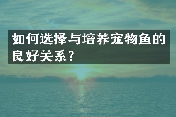 如何选择与培养宠物鱼的良好关系？