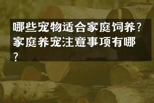 哪些宠物适合家庭饲养？家庭养宠注意事项有哪些？