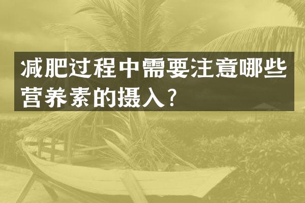 减肥过程中需要注意哪些营养素的摄入？