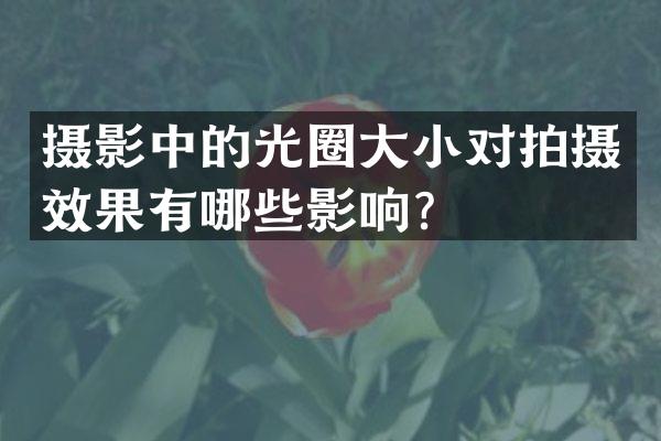 摄影中的光圈大小对拍摄效果有哪些影响？