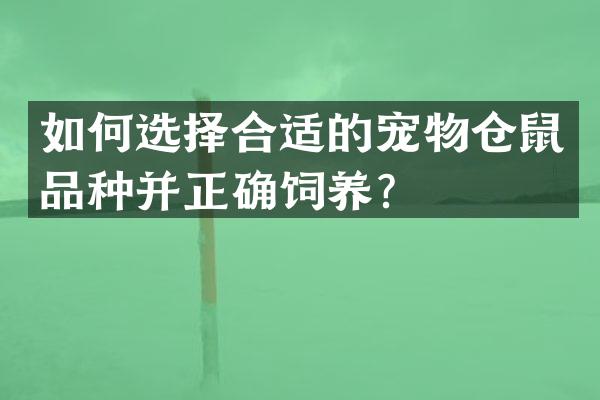 如何选择合适的宠物仓鼠品种并正确饲养？