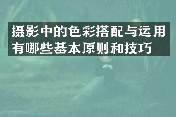 摄影中的色彩搭配与运用有哪些基本原则和技巧？