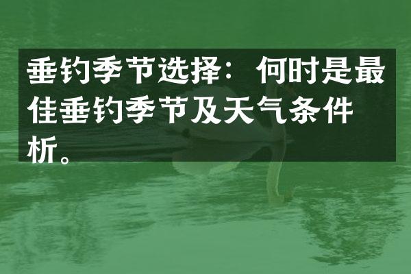 垂钓季节选择：何时是最佳垂钓季节及天气条件分析。