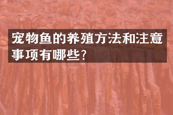 宠物鱼的养殖方法和注意事项有哪些？