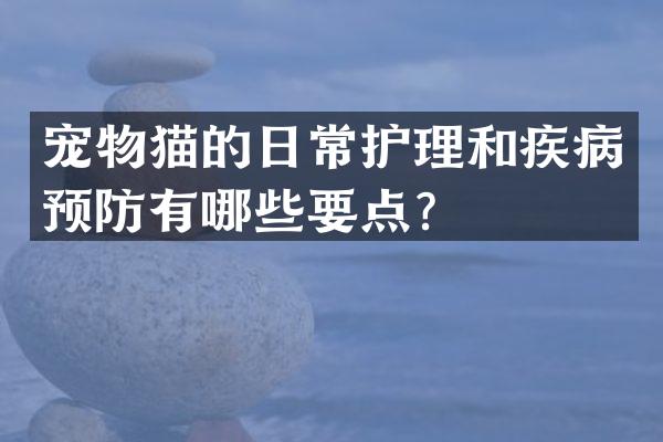 宠物猫的日常护理和疾病预防有哪些要点？