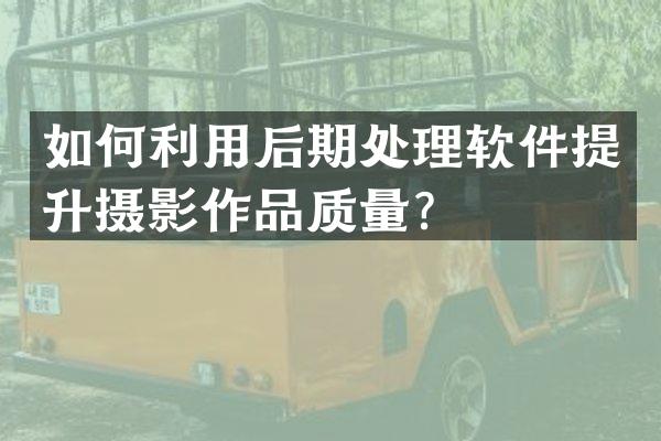 如何利用后期处理软件提升摄影作品质量？