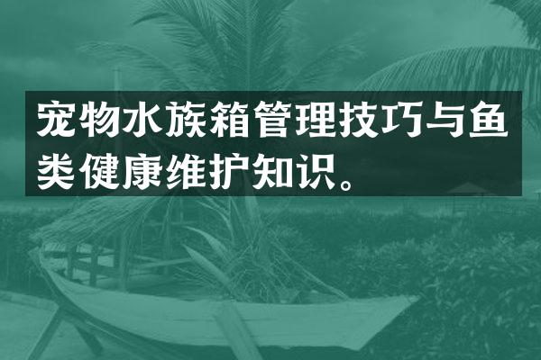 宠物水族箱管理技巧与鱼类健康维护知识。