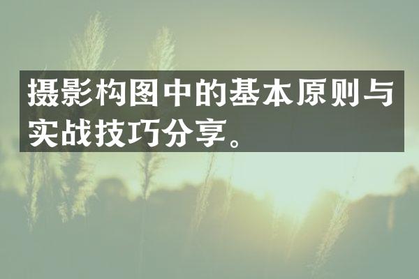 摄影构图中的基本原则与实战技巧分享。