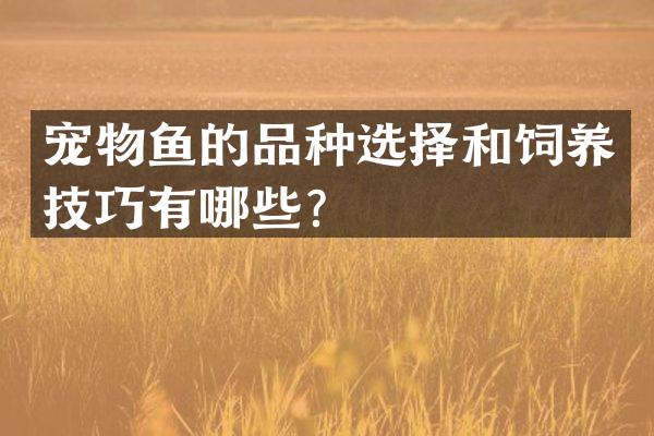 宠物鱼的品种选择和饲养技巧有哪些？