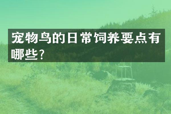 宠物鸟的日常饲养要点有哪些？
