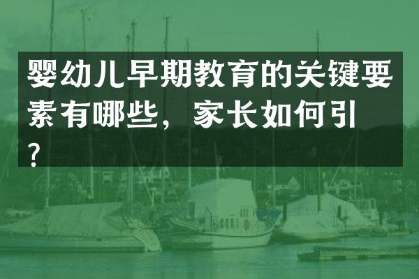 婴幼儿早期教育的关键要素有哪些，家长如何引导？