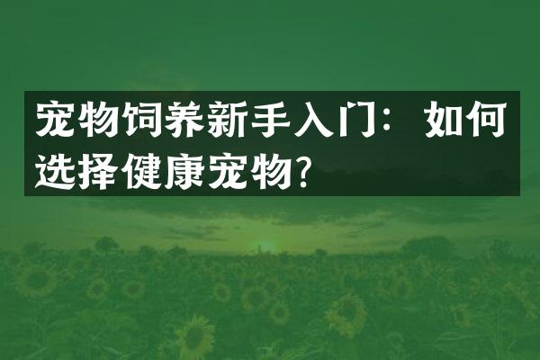 宠物饲养新手入门：如何选择健康宠物？