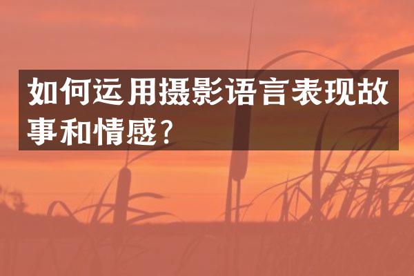 如何运用摄影语言表现故事和情感？