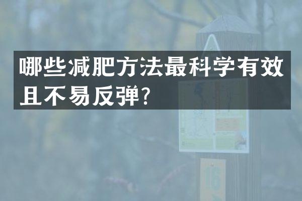 哪些减肥方法最科学有效且不易反弹？