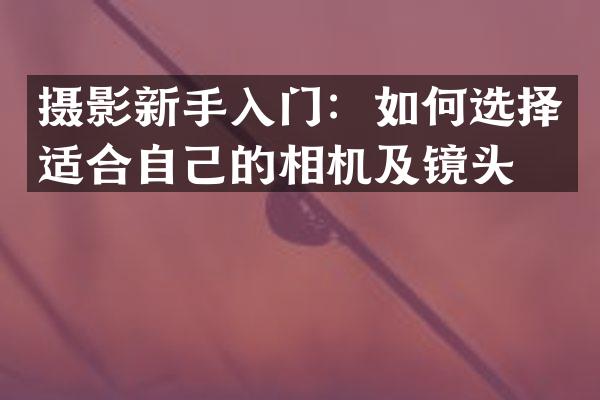 摄影新手入门：如何选择适合自己的相机及镜头？