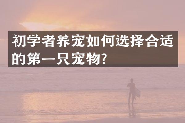 初学者养宠如何选择合适的第一只宠物？