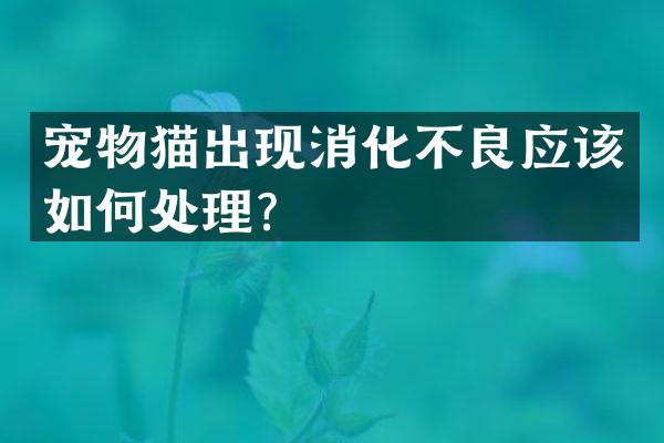 宠物猫出现消化不良应该如何处理？
