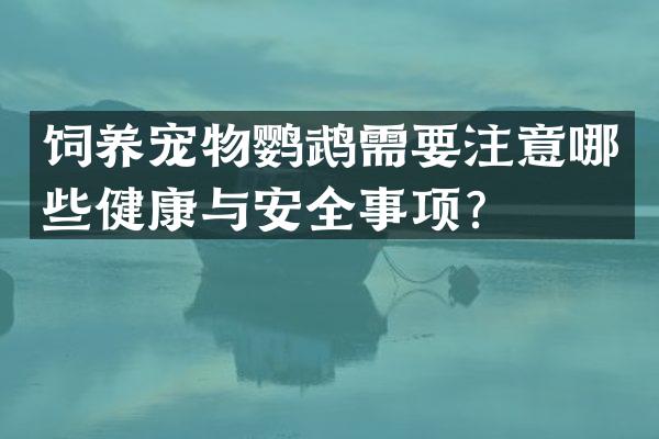 饲养宠物鹦鹉需要注意哪些健康与安全事项？