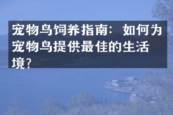 宠物鸟饲养指南：如何为宠物鸟提供最佳的生活环境？