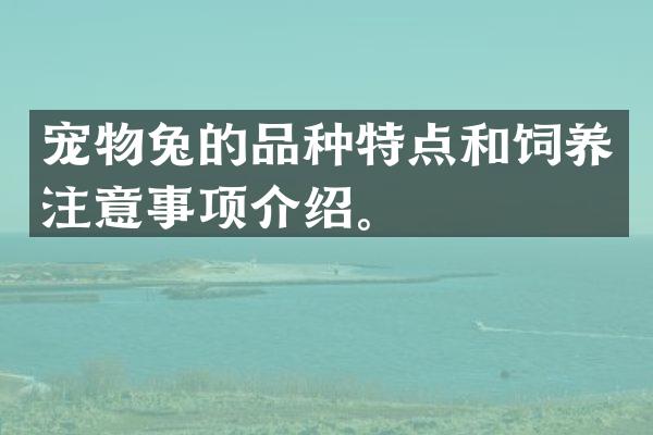 宠物兔的品种特点和饲养注意事项介绍。