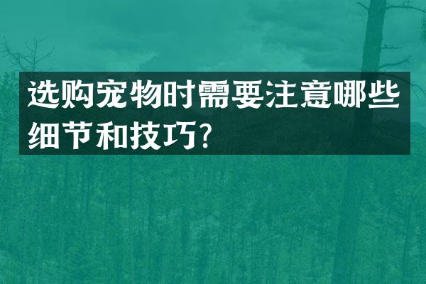 选购宠物时需要注意哪些细节和技巧？