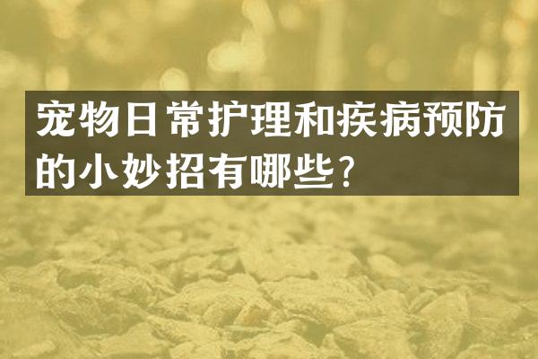 宠物日常护理和疾病预防的小妙招有哪些？